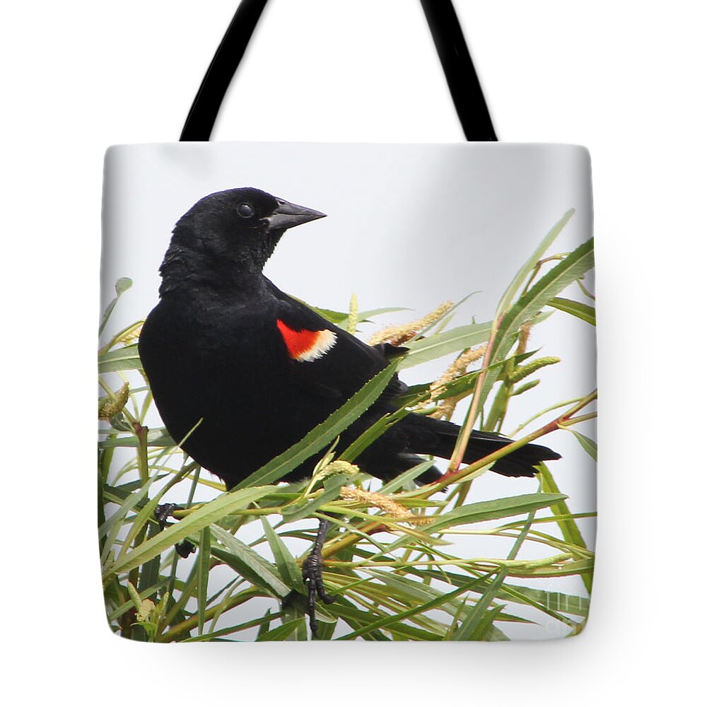 Christian Tote Bag featuring the photograph Red-Winged Beauty by Anita Oakley