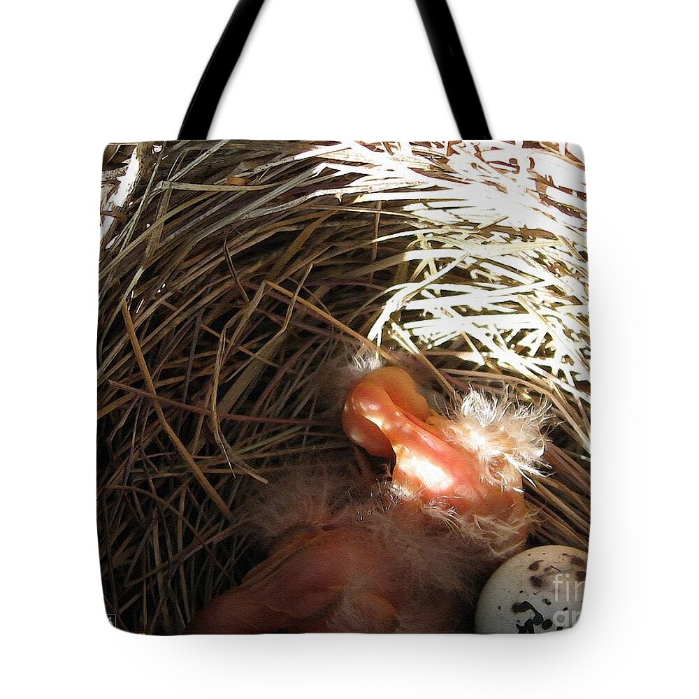 Mccombie Tote Bag featuring the painting Red-winged Blackbird Babies and Egg by J McCombie