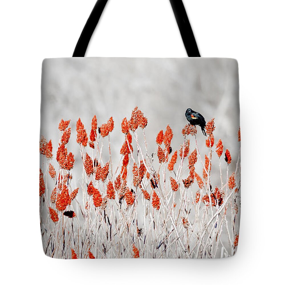 Bird Tote Bag featuring the photograph Red-winged Blackbird by Steven Ralser