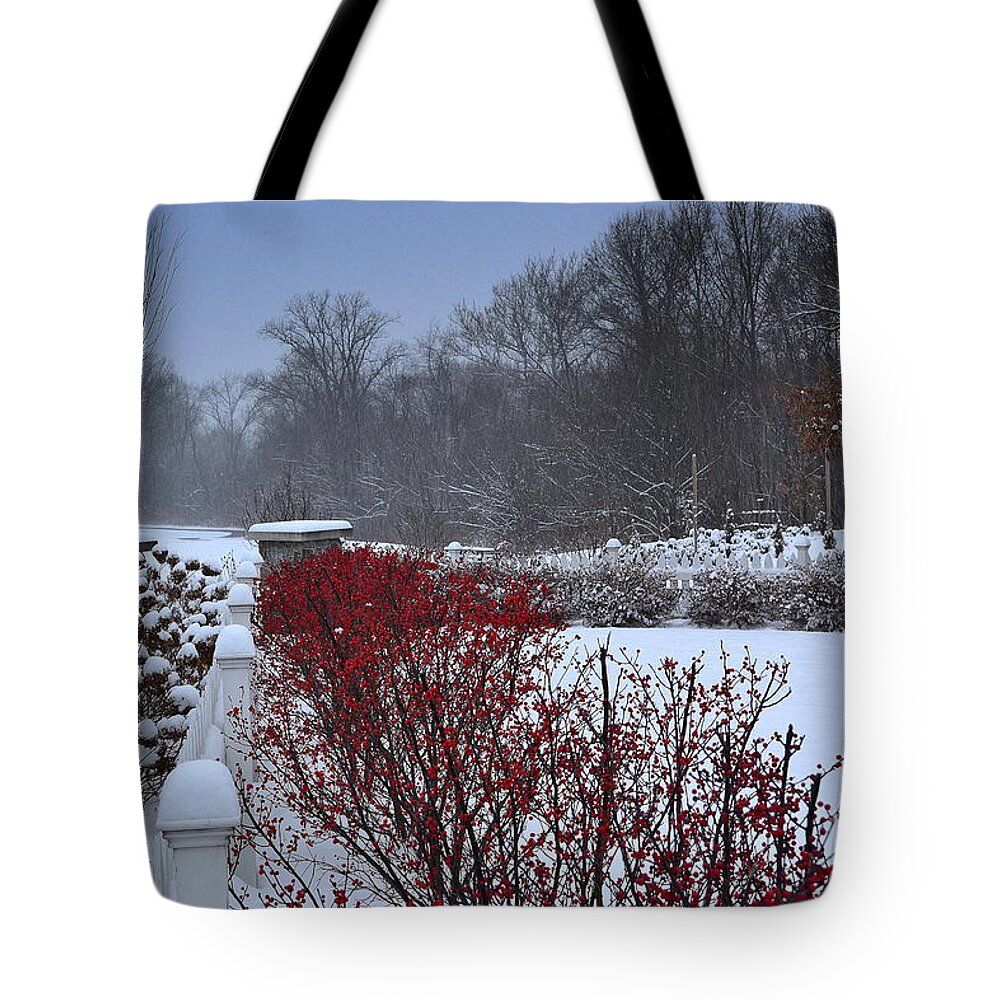 Red Berries Tote Bag featuring the photograph Red Winter Berries in Snow by Amy Lucid