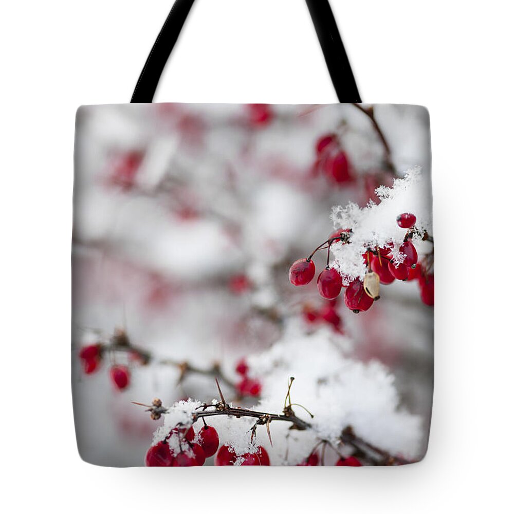 Barberry Tote Bags