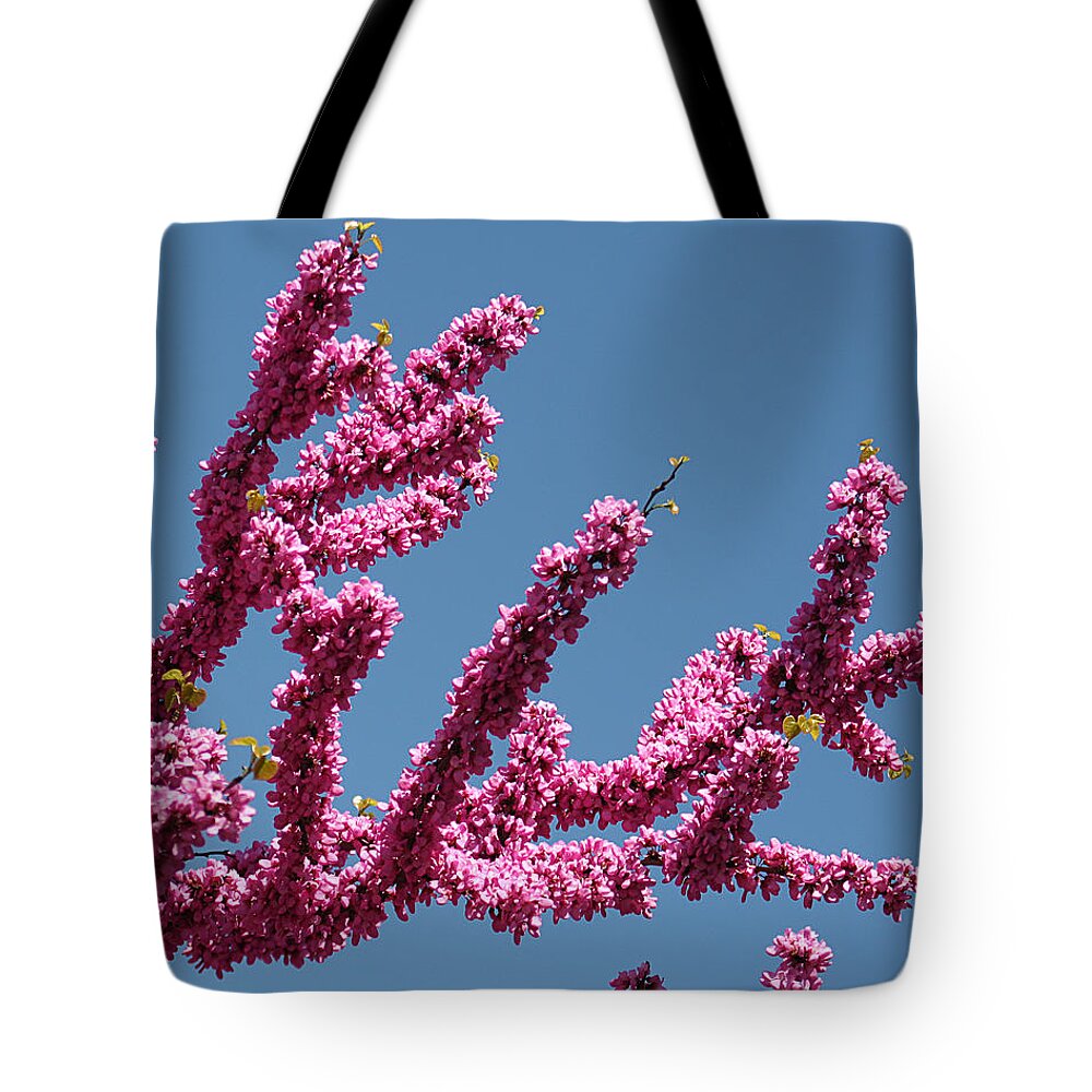 Nature Tote Bag featuring the photograph Redbud Against Blue Sky by William Selander