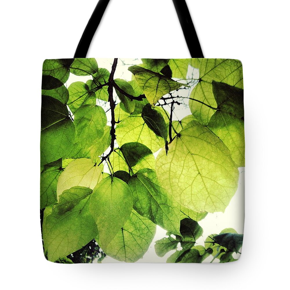 Leaf Tote Bag featuring the photograph Catalpa Branch by Angela Rath