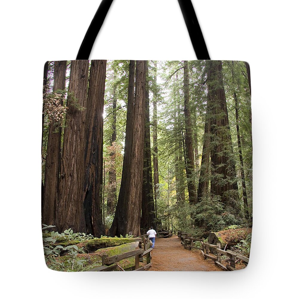 Muir Woods Tote Bag featuring the photograph Redwood Trees by Sue Leonard