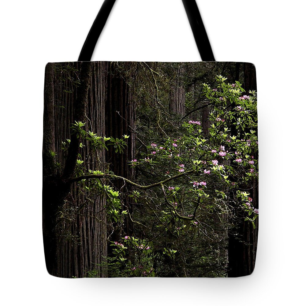 Redwoods Tote Bag featuring the photograph Redwoods and Rhodys by Betty Depee