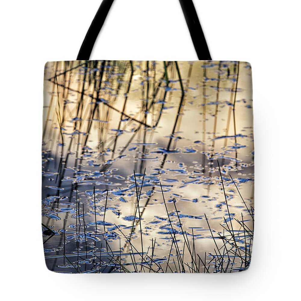 Patagonia Tote Bag featuring the photograph Reeds in Pond by Timothy Hacker