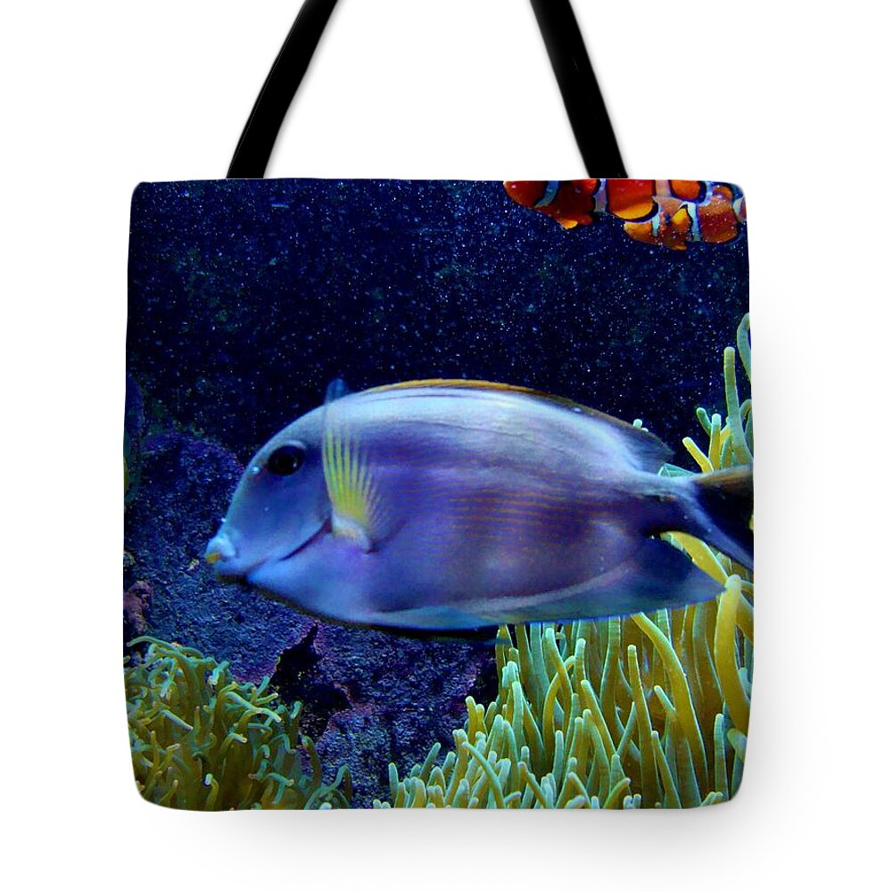 Colorful Reef Fish Tote Bag featuring the photograph Reef Fish by Anthony Seeker