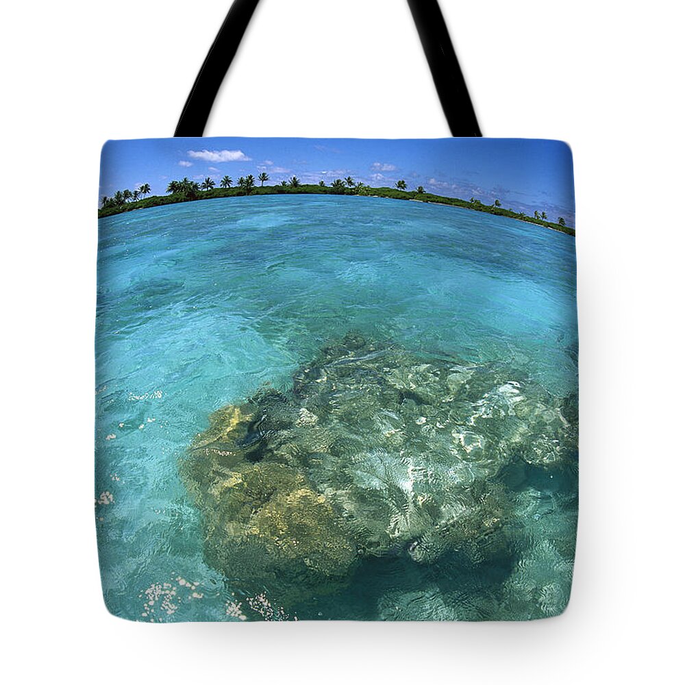 Feb0514 Tote Bag featuring the photograph Reef Seascape Palmyra Atoll by Tui De Roy