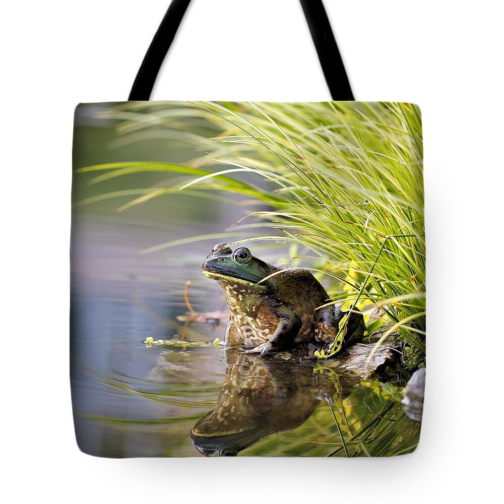 Reflection Tote Bag featuring the photograph Reflecting by Katherine White