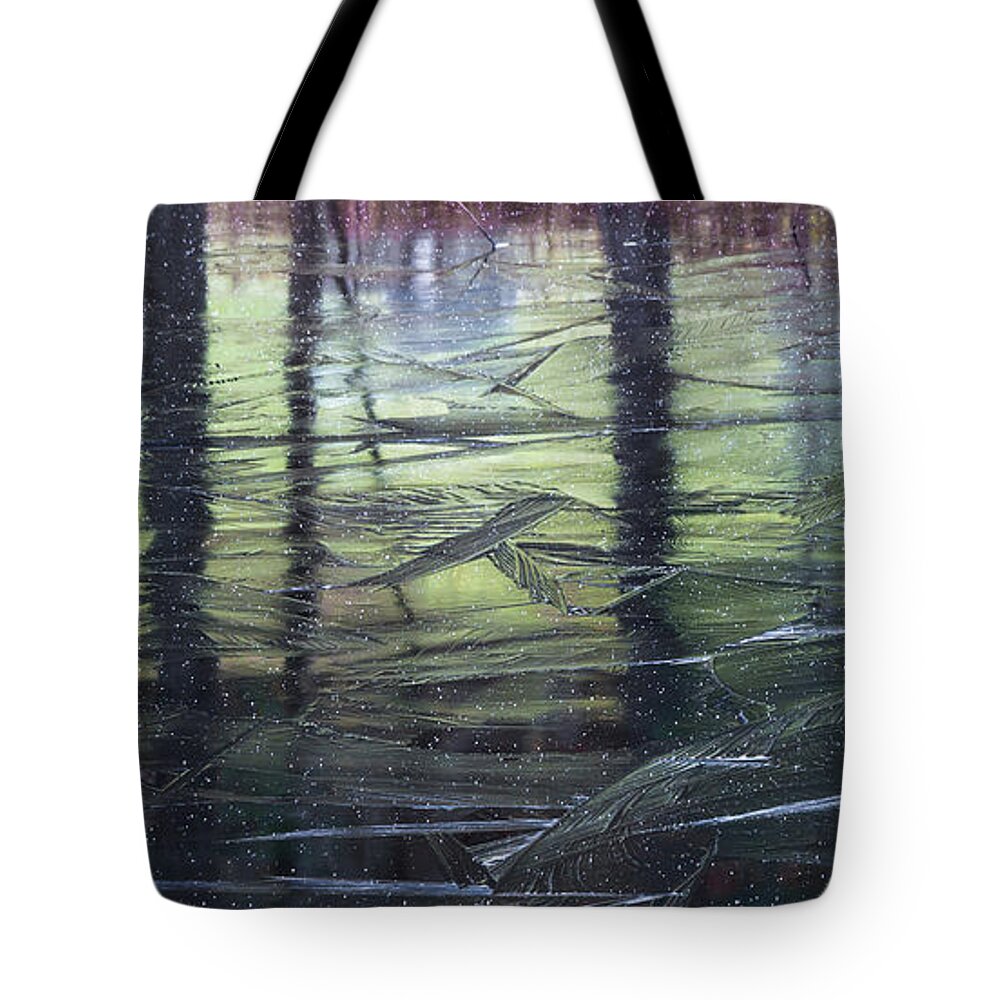 Transitions Tote Bag featuring the photograph Reflecting on Transitions by Mary Amerman
