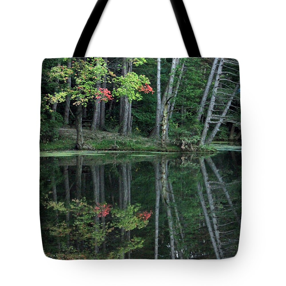 Landscape Tote Bag featuring the photograph Reflection by Bruce Patrick Smith