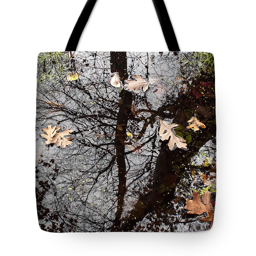 Reflection Tote Bag featuring the photograph Reflection in the Marsh by Verana Stark