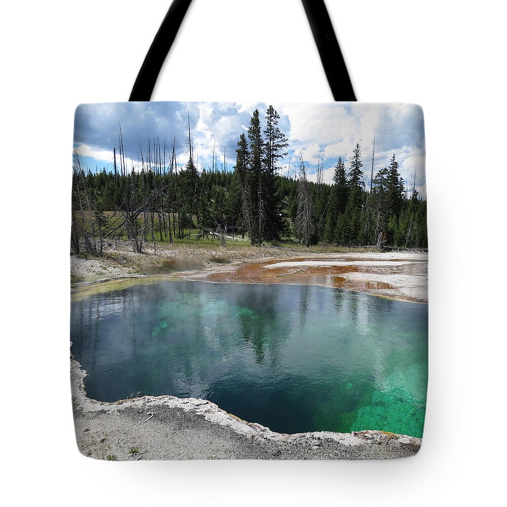 Reflection Tote Bag featuring the photograph Reflection by Laurel Powell