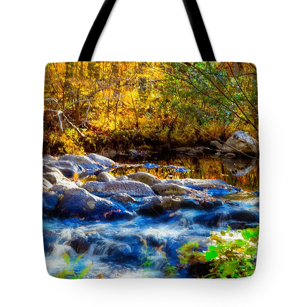 Autumn Reflection Tote Bag featuring the photograph Reflection of Autumns Natural Beauty by Peggy Franz