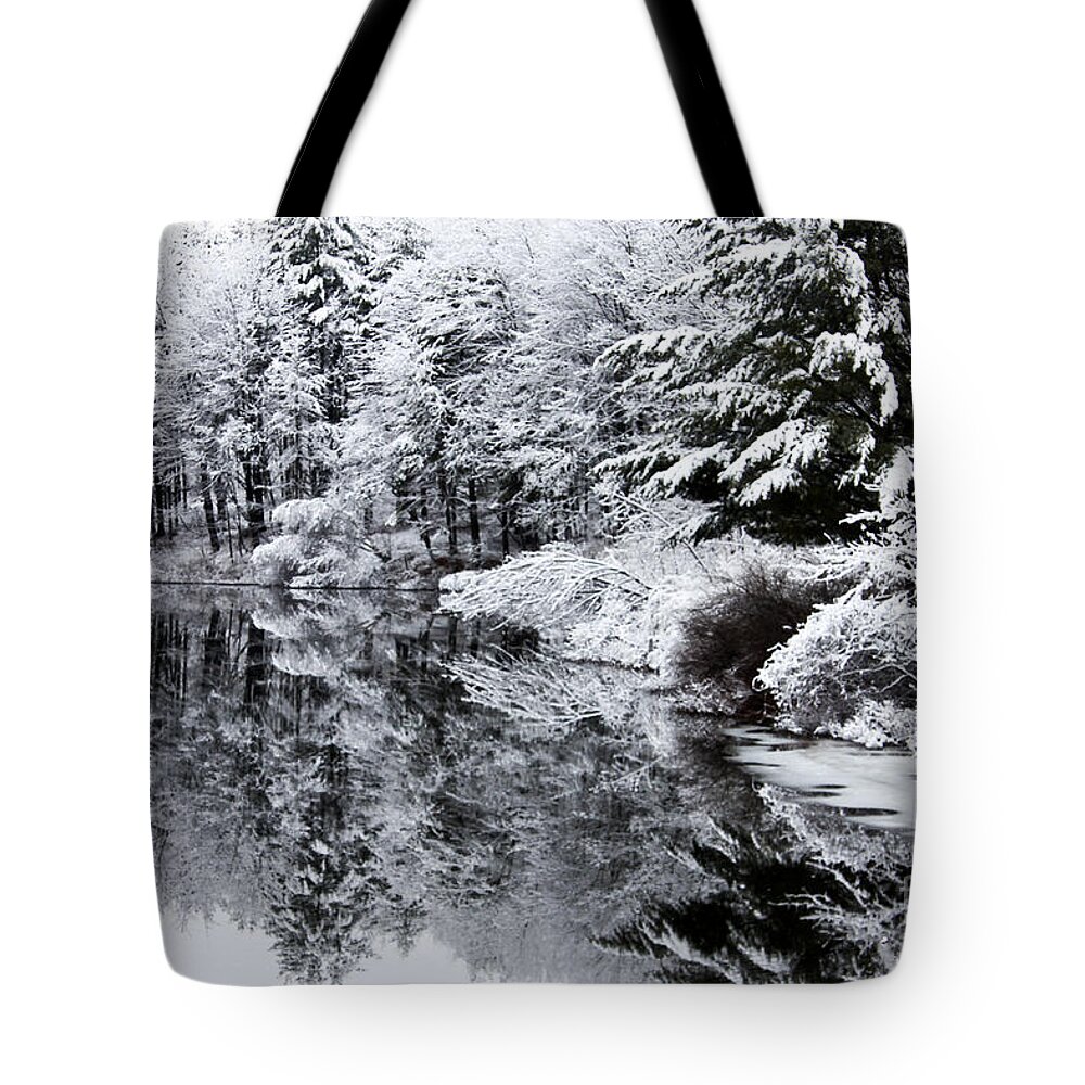 Maine Tote Bag featuring the photograph Reflection of Me by Brenda Giasson