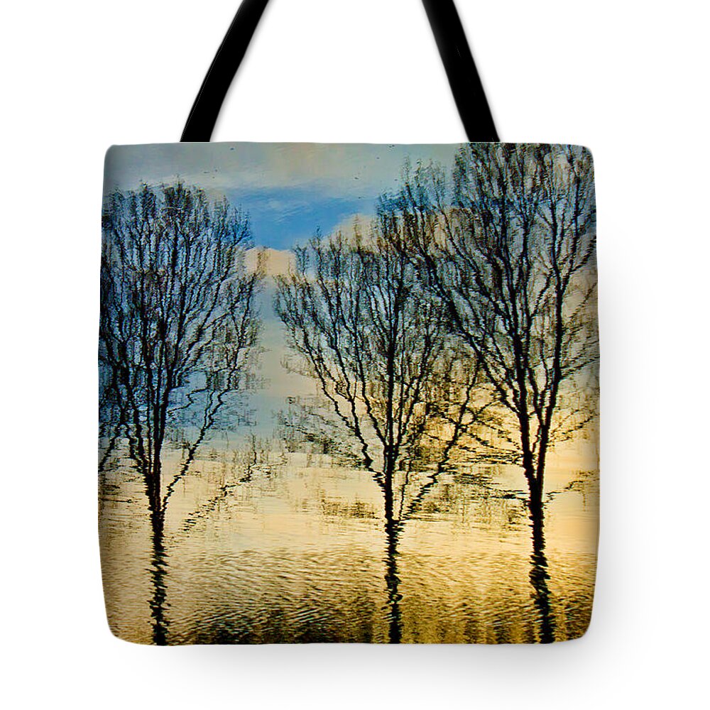 Landscape Tote Bag featuring the photograph Reflections by Adriana Zoon