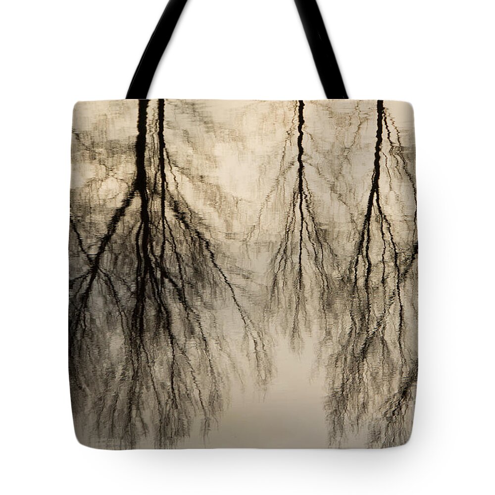 Landscape Tote Bag featuring the photograph Reflections in black and grey by Adriana Zoon