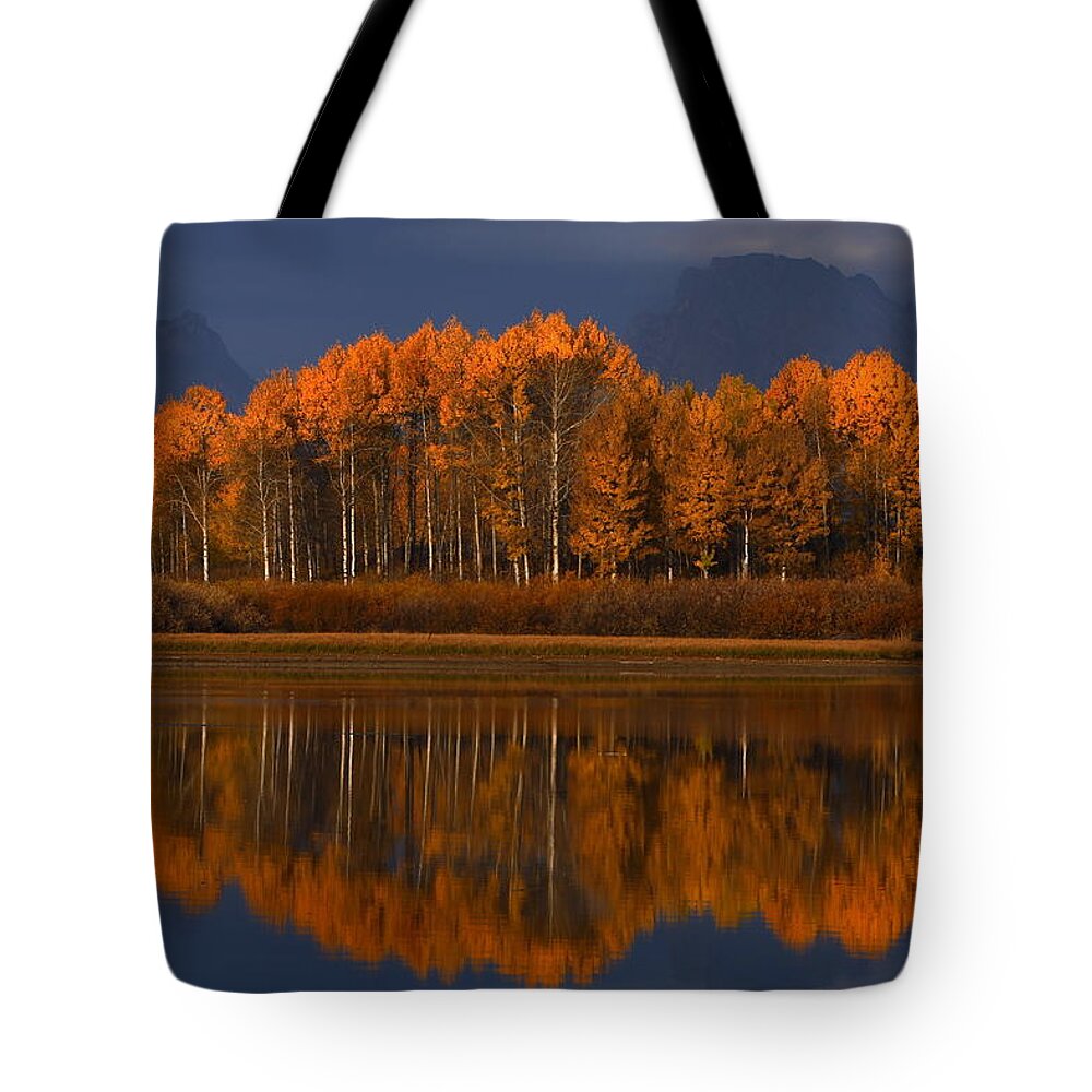 Landscape Tote Bag featuring the photograph Last Sentinels by David Andersen
