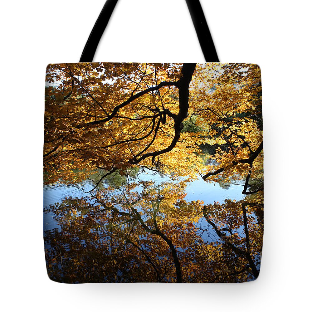 Reflections Tote Bag featuring the photograph Reflections by John Telfer