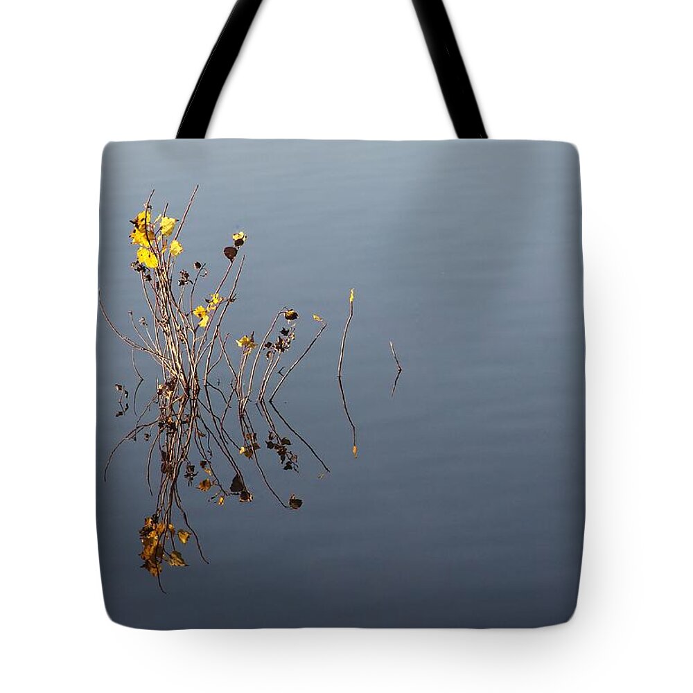 Abstract Tote Bag featuring the photograph Reflections by Mark Robert Bein