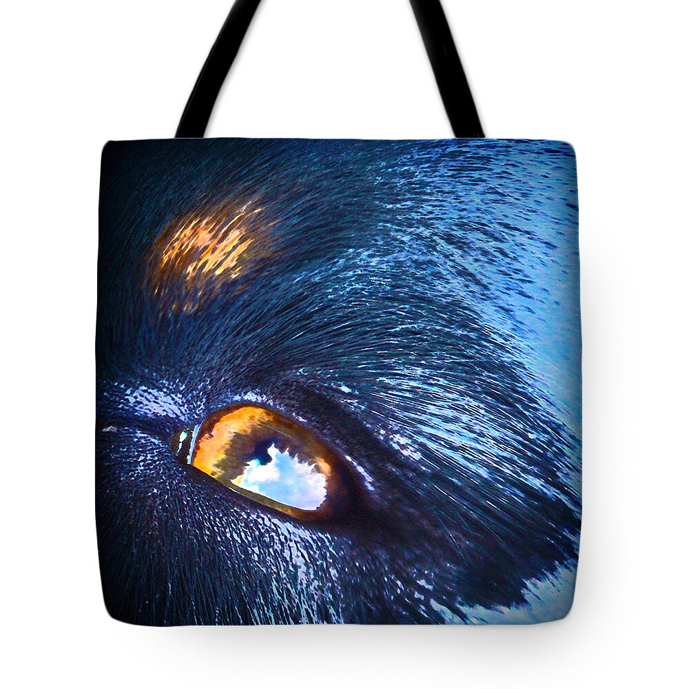 Animals Paintings Tote Bag featuring the photograph Reflections by Mayhem Mediums