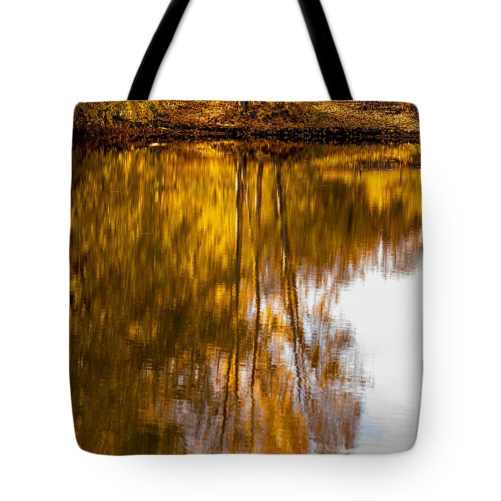 Autumn Tote Bag featuring the photograph Reflections of Autumn by Mary Jo Allen
