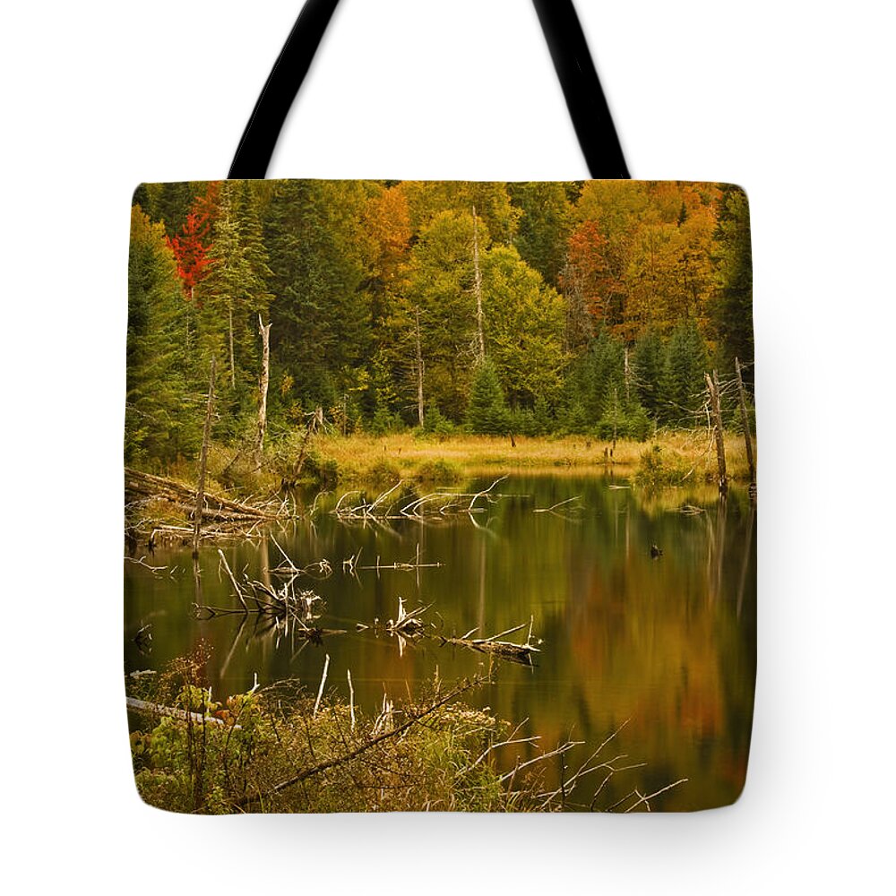 Water Tote Bag featuring the photograph Reflections Of The Fall by Hany J