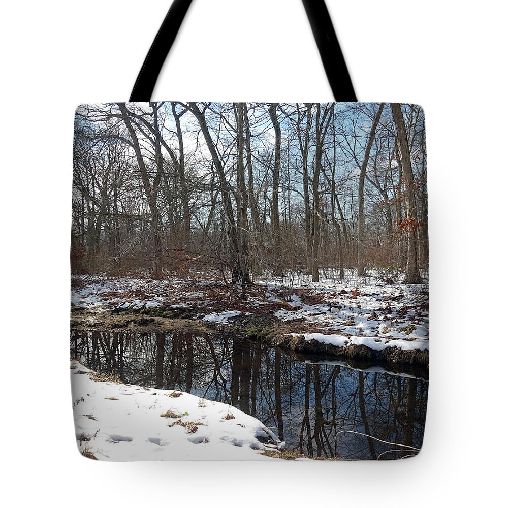 Winter Tote Bag featuring the photograph Reflections of winter by Mikki Cucuzzo