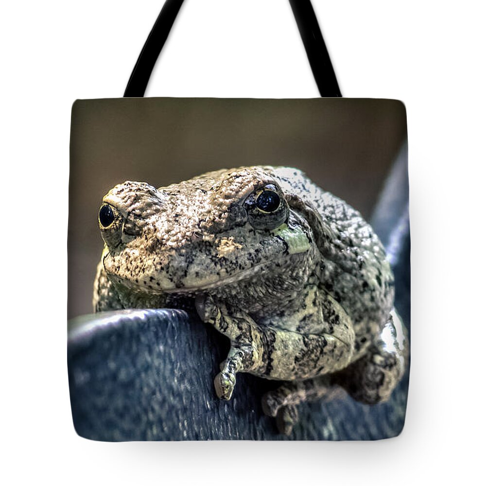 American Tote Bag featuring the photograph Relaxing by Traveler's Pics