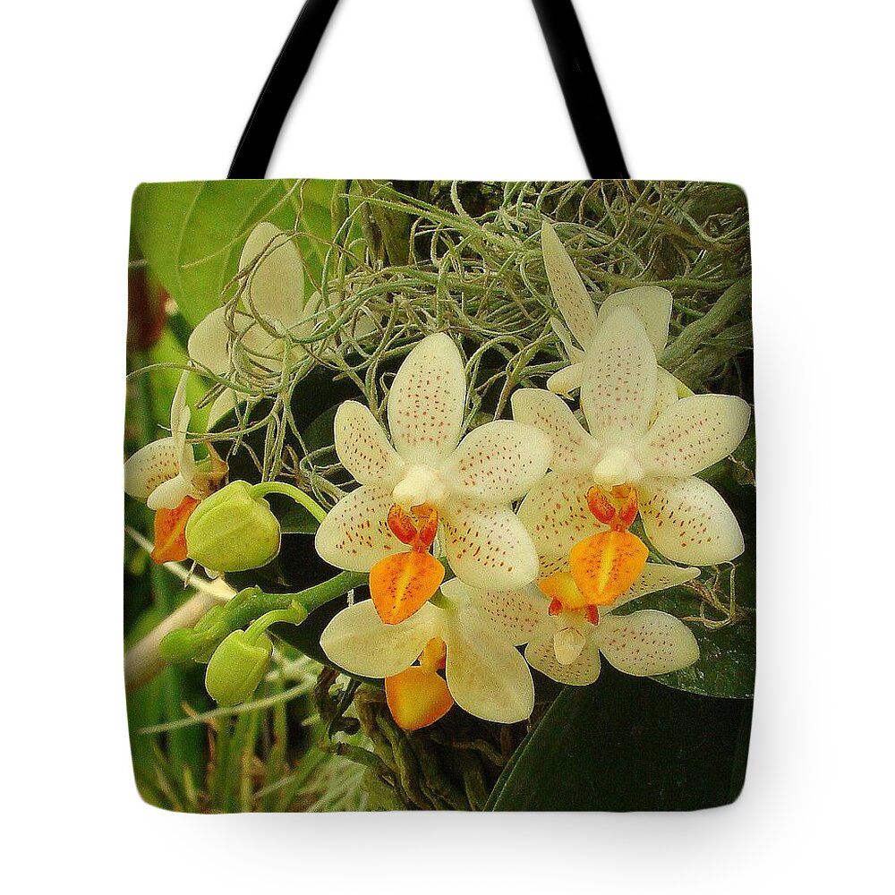Fine Art Tote Bag featuring the photograph Renewal by Rodney Lee Williams