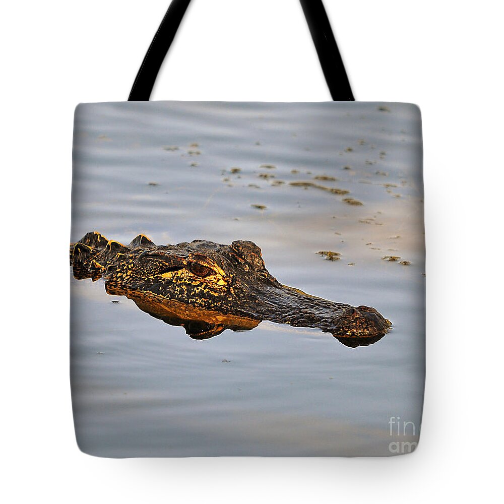Alligator Tote Bag featuring the photograph Reptile Reflection by Al Powell Photography USA