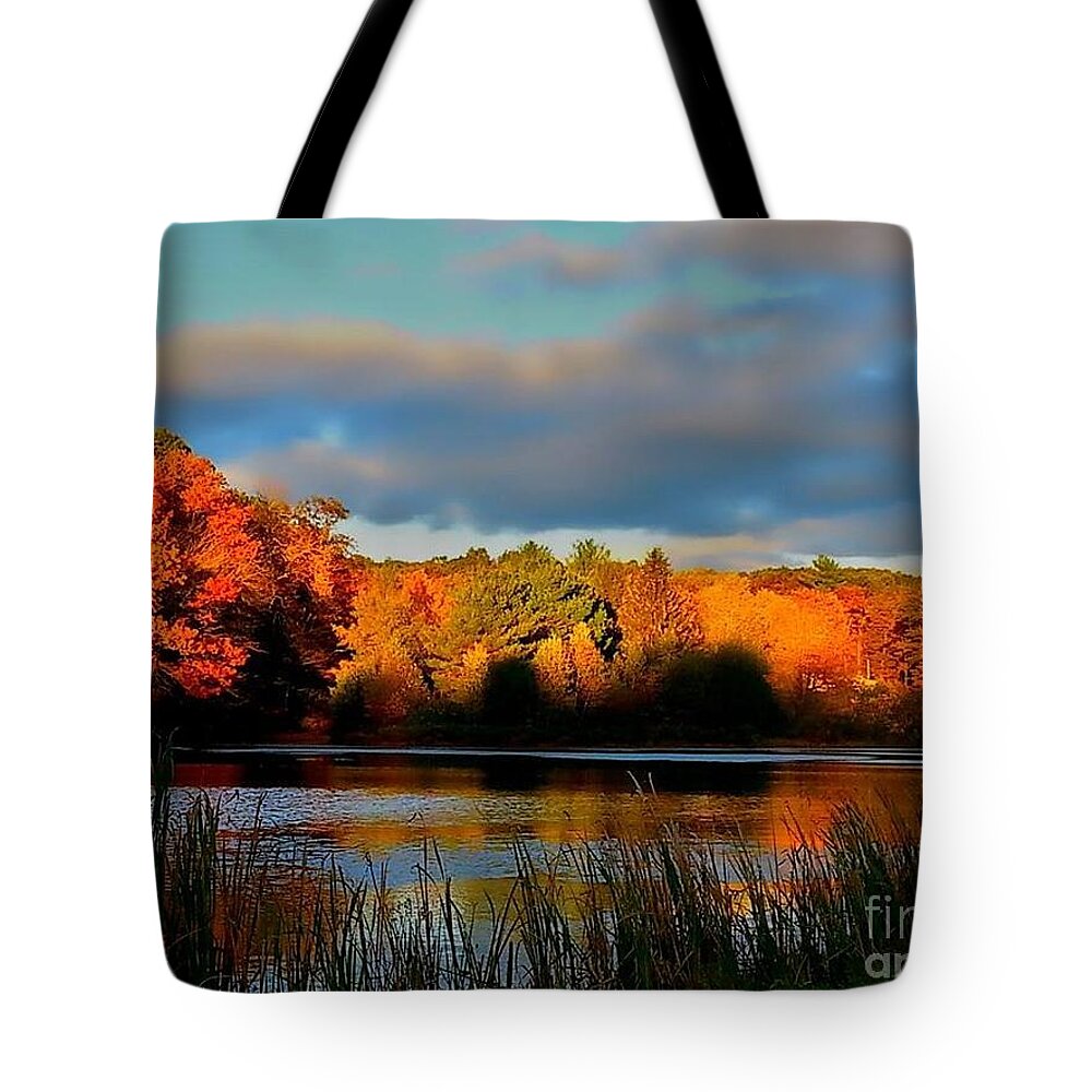 Autumn Tote Bag featuring the photograph Resonate by Dani McEvoy