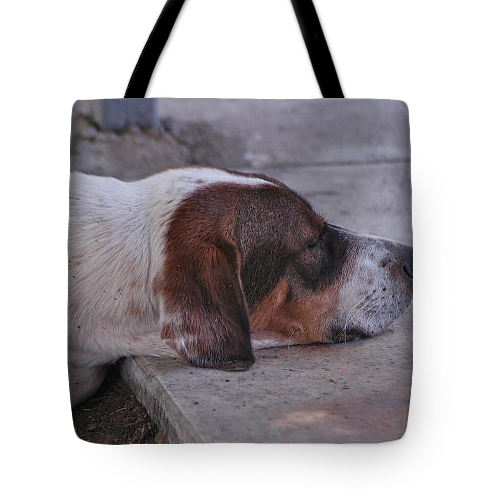 Balcony Tote Bag featuring the photograph Rest by Joseph Yarbrough