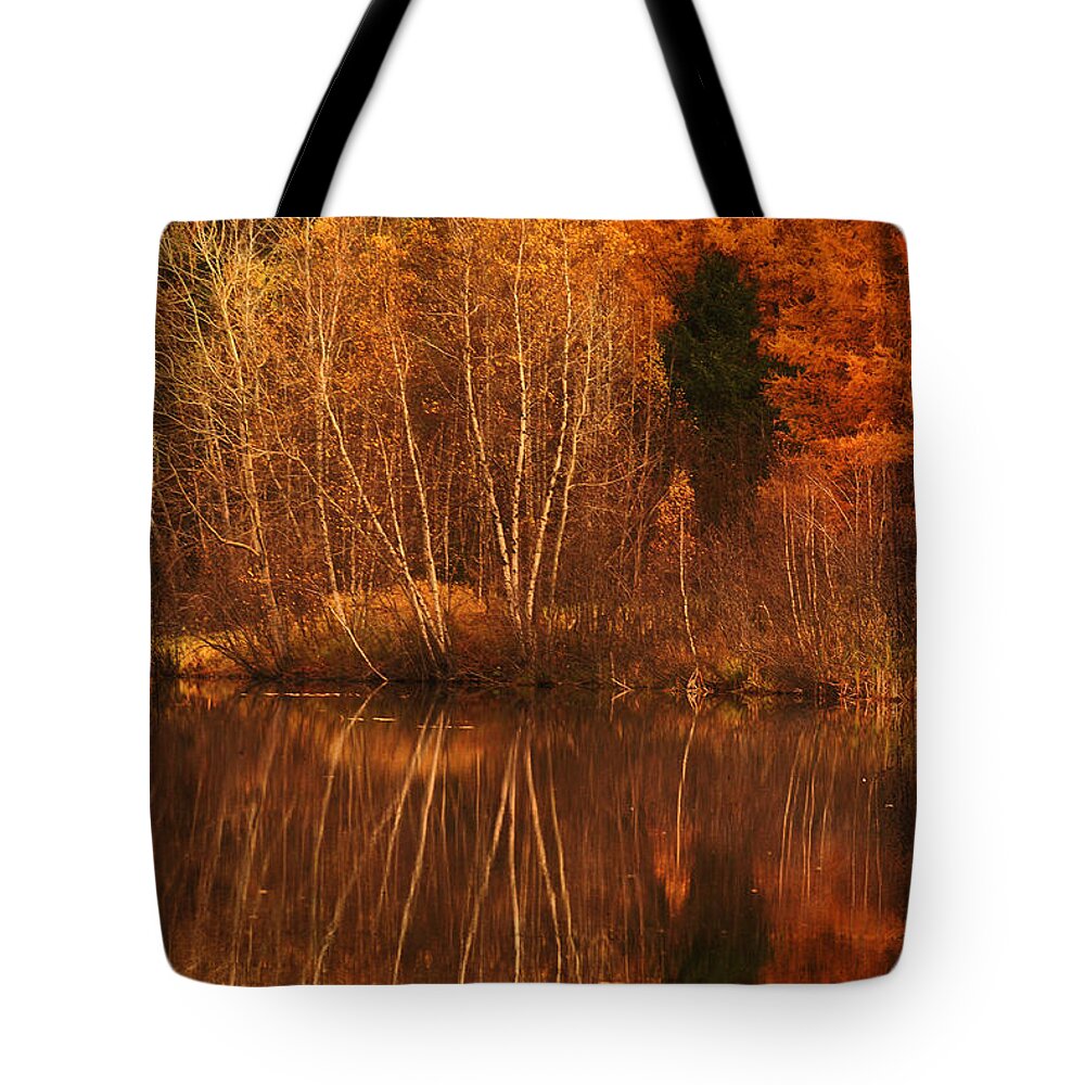 Autumn Tote Bag featuring the photograph Restes d'Automne by Aimelle Ml