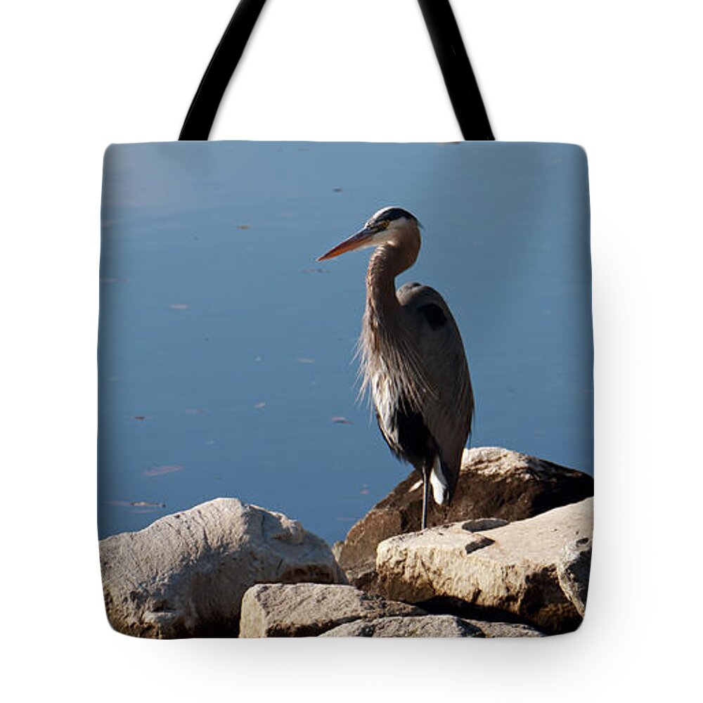 Nature Tote Bag featuring the photograph Resting Heron by Mary Haber