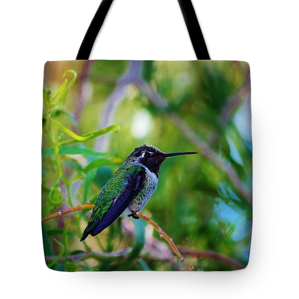 Hummingbird Tote Bag featuring the photograph Resting by Marcia Breznay