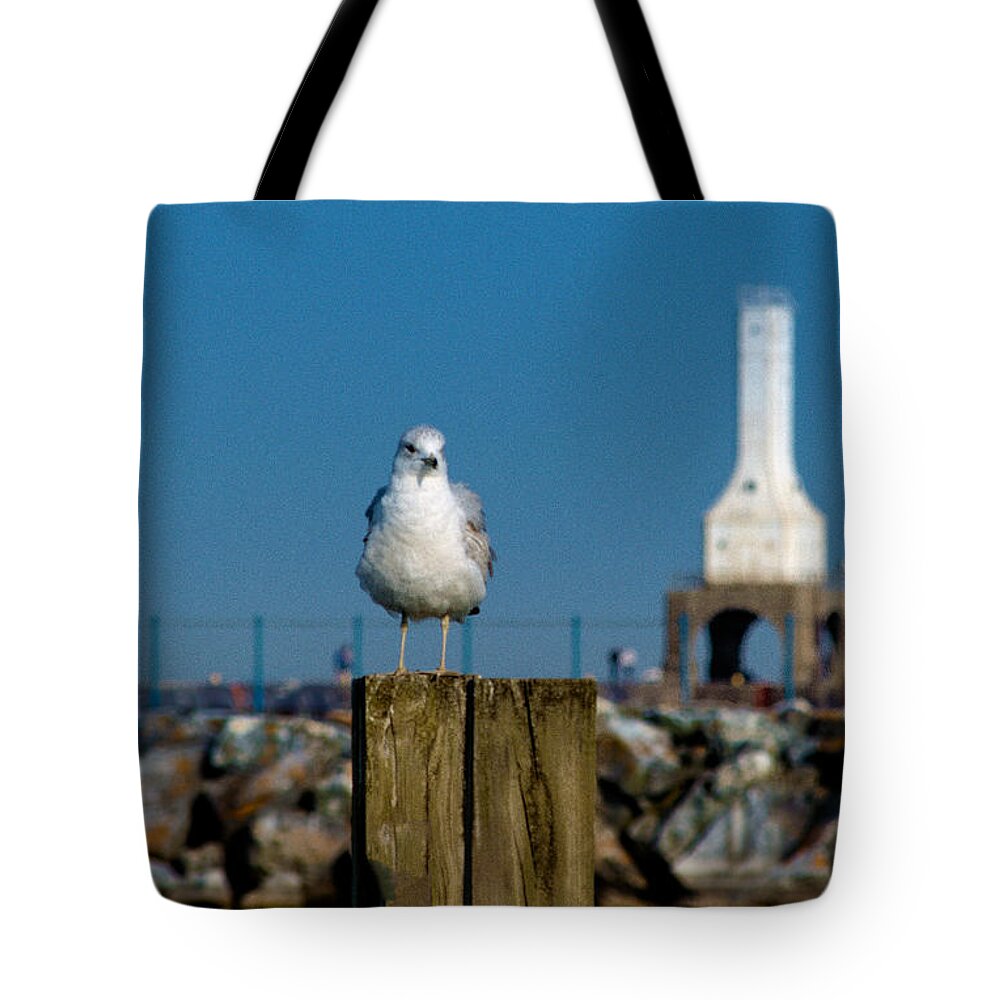 Seagull Tote Bag featuring the photograph Resting Spot by James Meyer