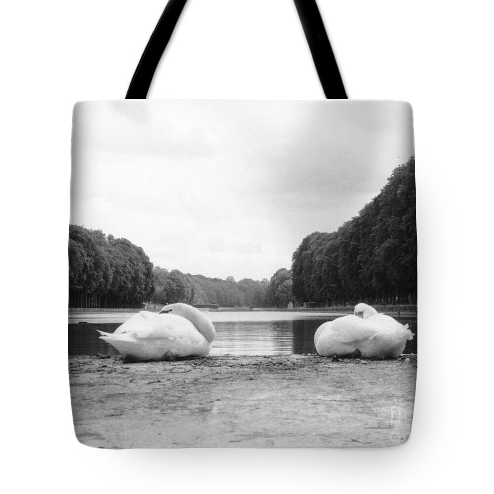 Swans Tote Bag featuring the photograph Resting Swans by Christine Jepsen