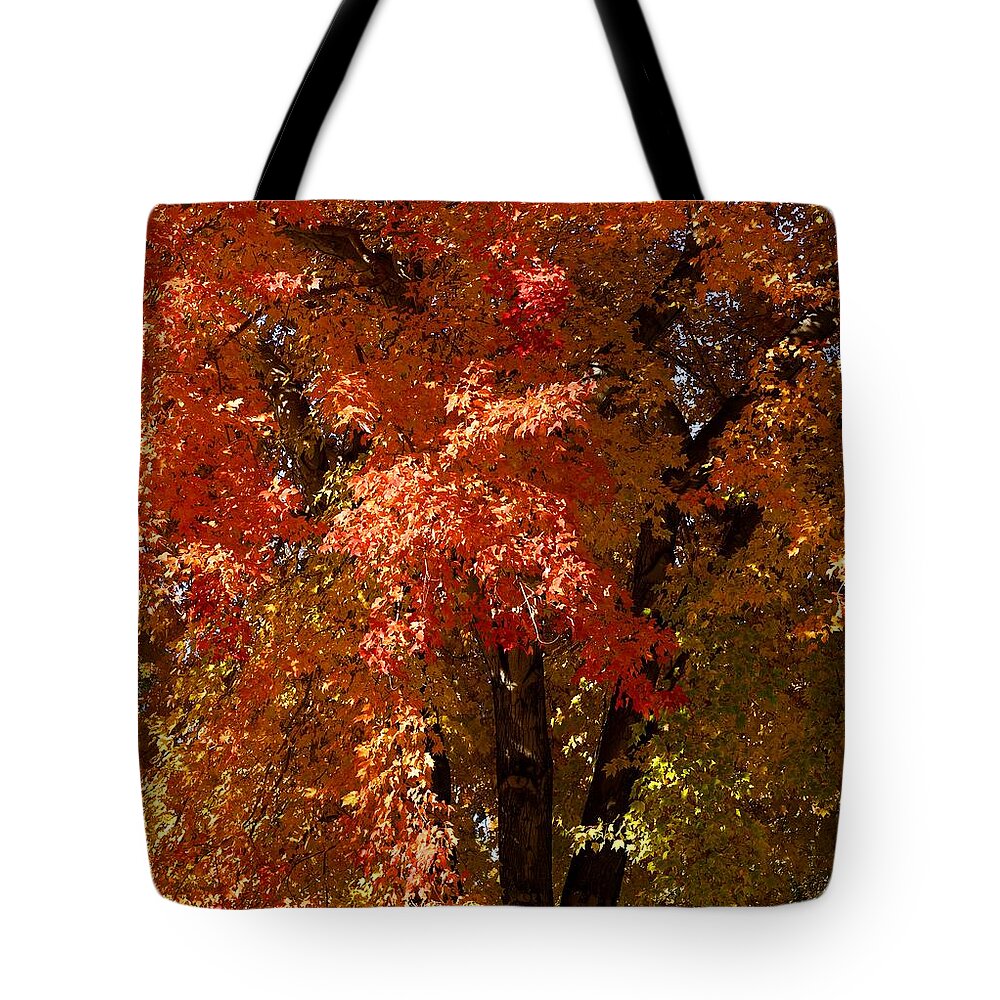 Portrait Tote Bag featuring the photograph Resting Tree by Morgan Carter