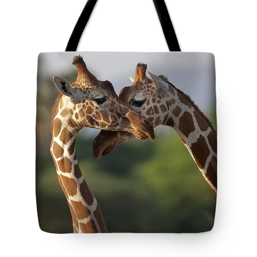 Africa Tote Bag featuring the photograph Reticulated Giraffe by John Shaw