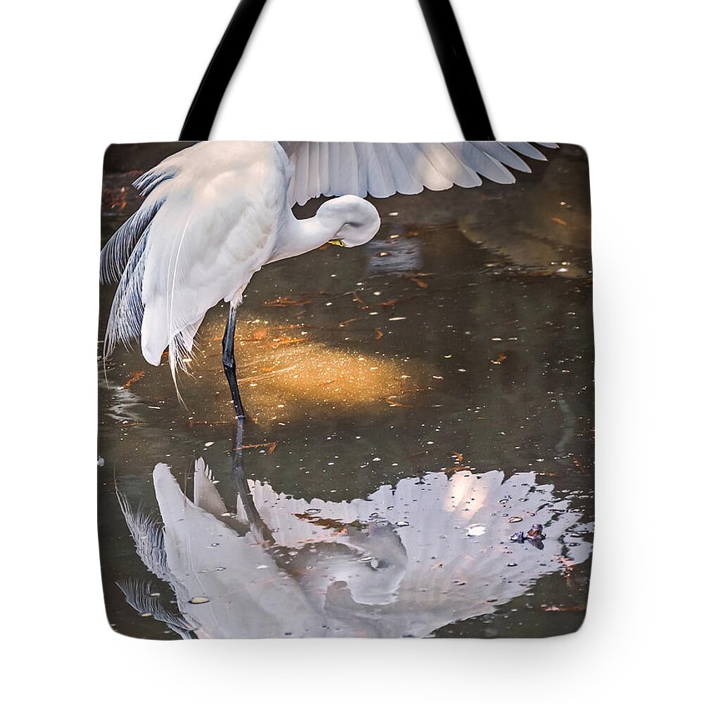 Bird Tote Bag featuring the photograph Revealed Close-up by Kate Brown