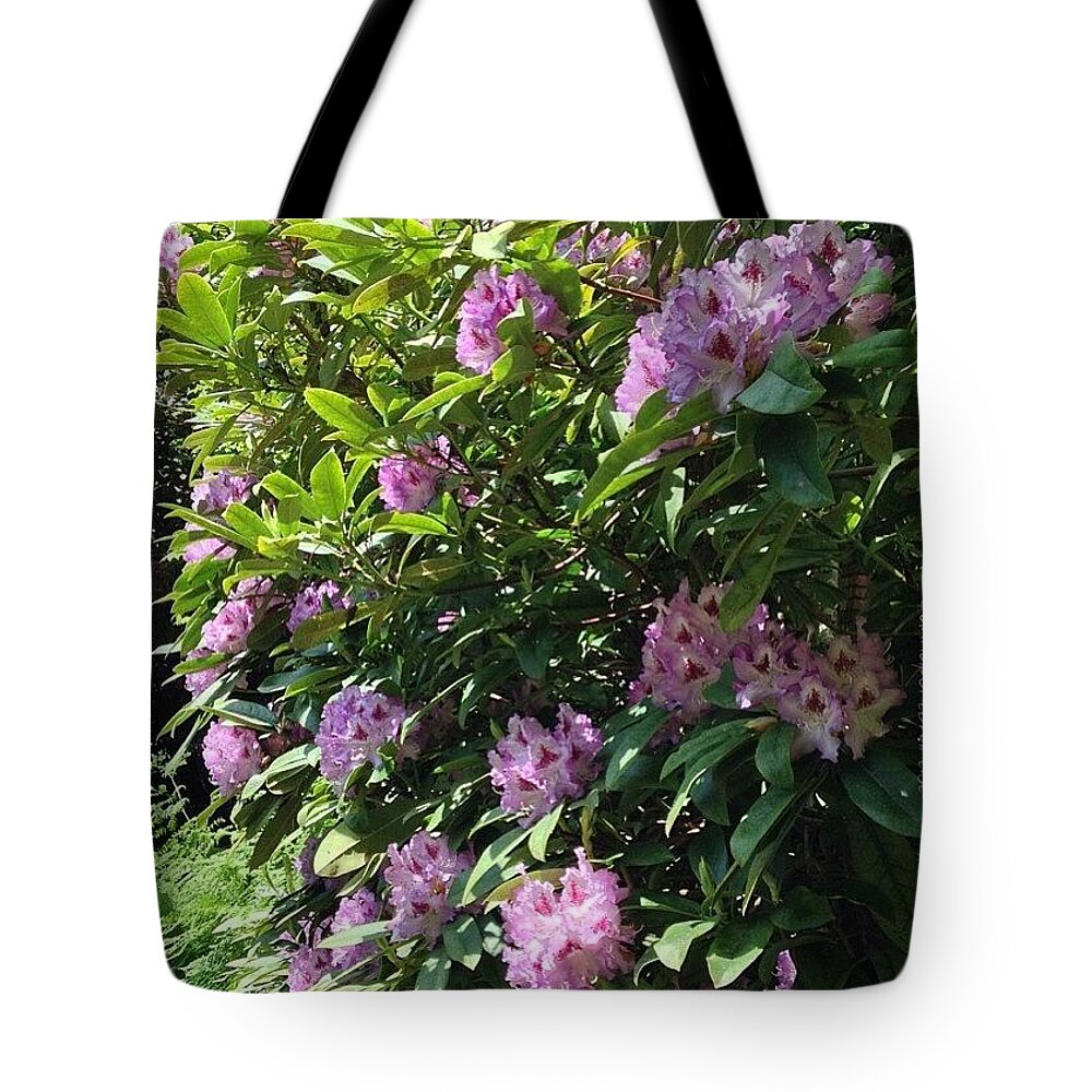 Lakeoswego Tote Bag featuring the photograph Rhodie Wall, Morning Light In by Anna Porter