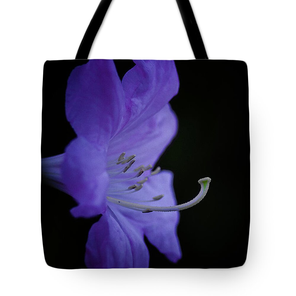 Rhododendron Tote Bag featuring the photograph Rhododendron by Ron Roberts