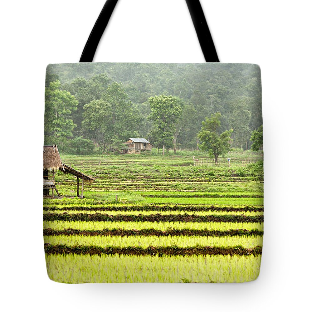 Bamboo Tote Bag featuring the photograph Rice Paddy by Photo By Michael Levy