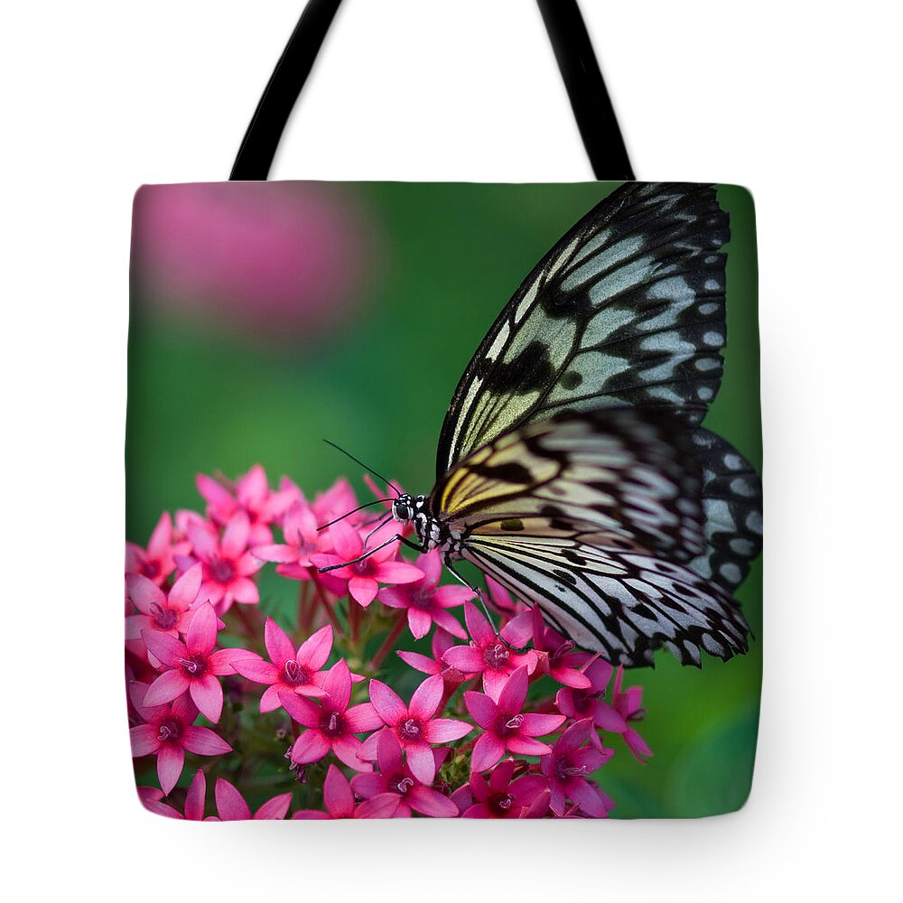 Butterfly Tote Bag featuring the photograph Rice Paper Butterfly by Joann Vitali