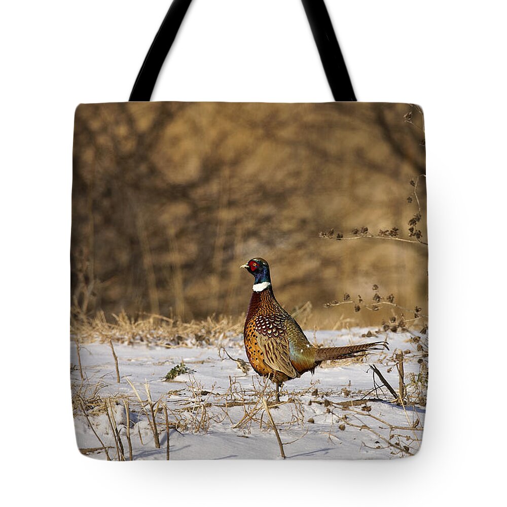 Pheasant Tote Bag featuring the photograph Ringer by Jack Milchanowski