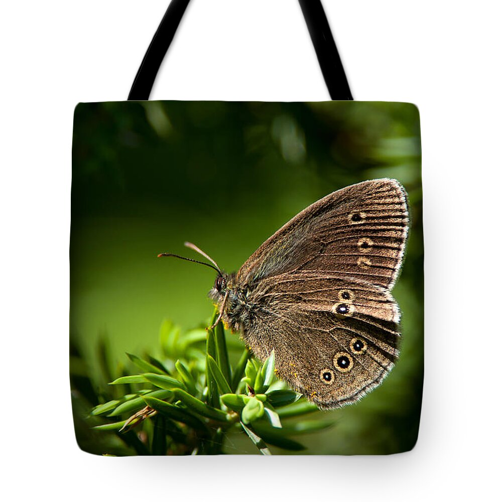 Ringlet Tote Bag featuring the photograph Ringlet Aphantopus hyperantus by Torbjorn Swenelius