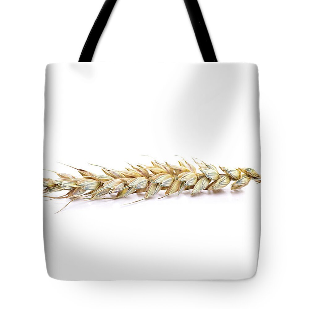 White Background Tote Bag featuring the photograph Ripe Wheat Ear Isolated On White by Kerstin Klaassen