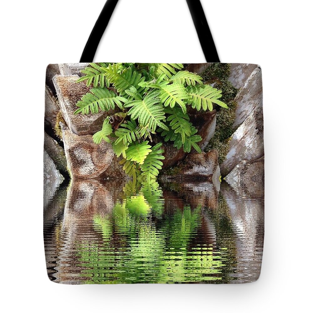 Ripples Tote Bag featuring the photograph Ripples and Reflection by Marian Lonzetta
