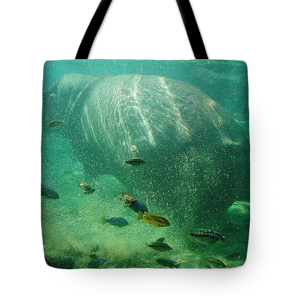 Hippo Tote Bag featuring the photograph River Horse by David Nicholls